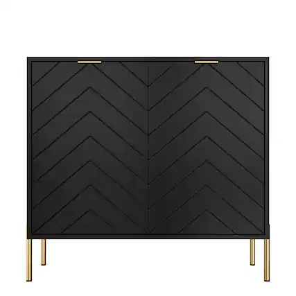 Front. Boyel Living - 2-Door Accent Cabinet Storage Cabinet in Black - Black.