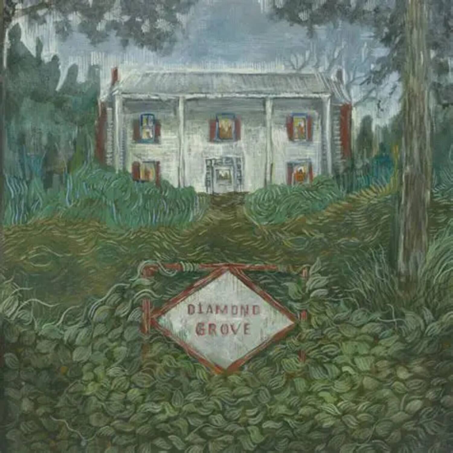 Weirs - Diamond Grove - VINYL LP