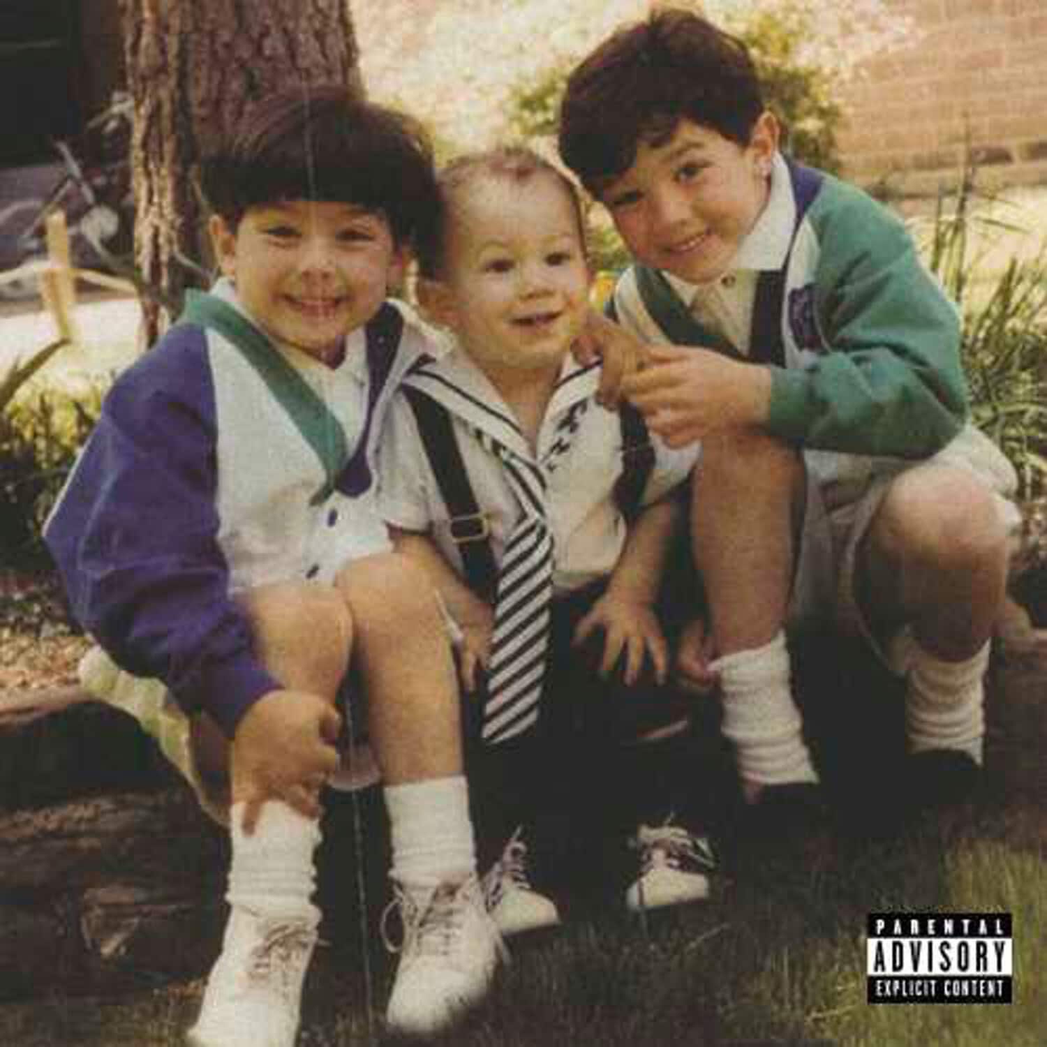 Jonas Brothers - The Family Business   - VINYL LP