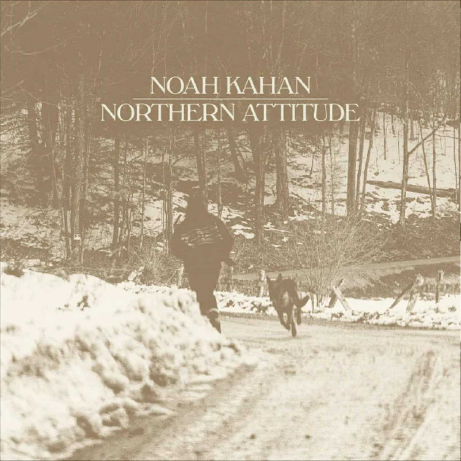 Noah Kahan - Northern Attitude - Black Ice Colored Vinyl with Poster   - 7-INCH SINGLE [7 inch Vinyl Disc]