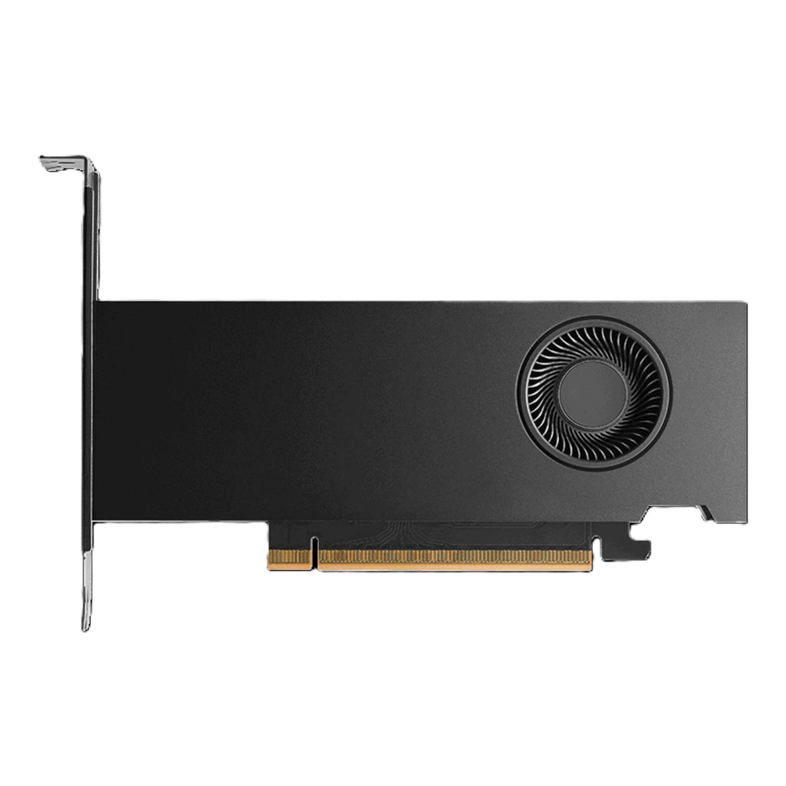 Angle. PNY - NVIDIA RTX PRO 2000 Blackwell Architecture 16GB GDDR7 PCI Express 5.0 Graphics Card - Black.