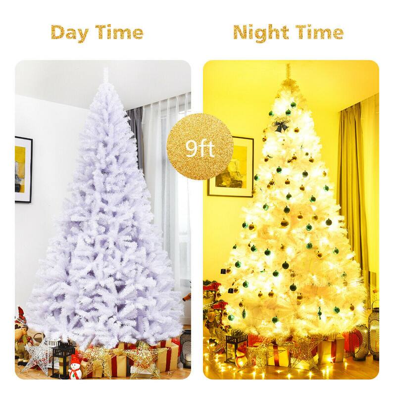 Day Time

Night Time

9ft