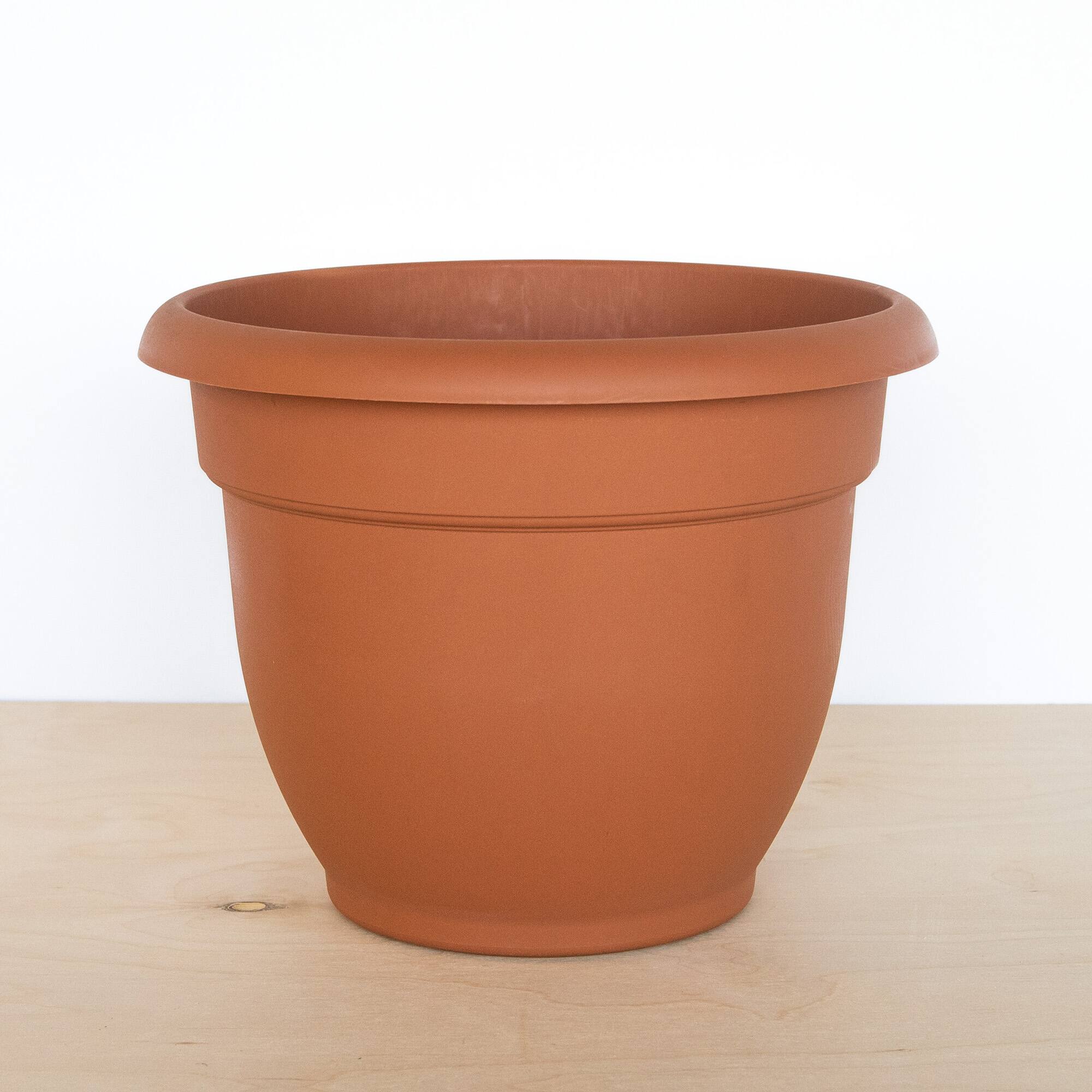Alt View 2. Bloem - Terra Cotta 12" - Ariana Pot Planter.