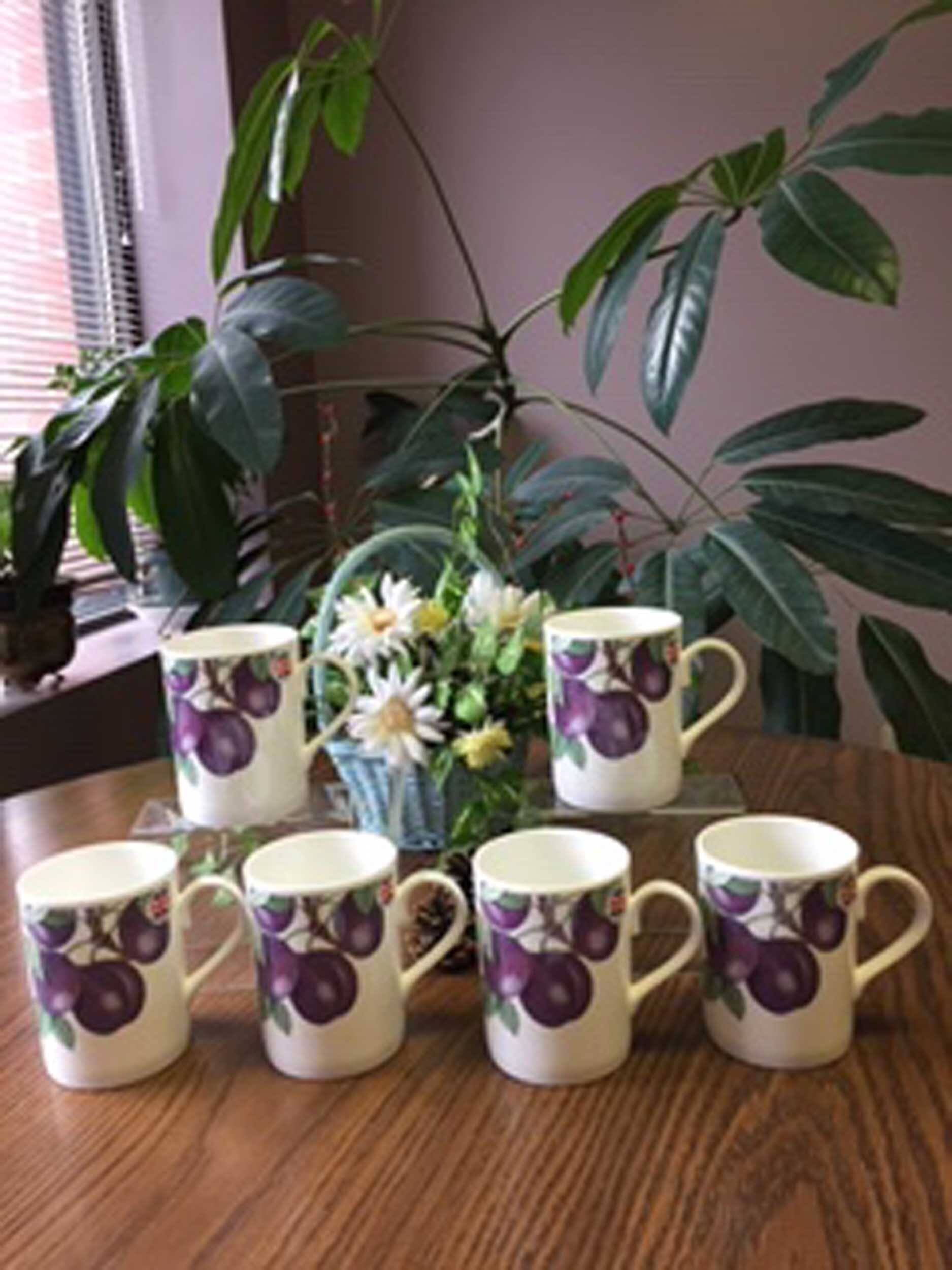 Back. Jiallo - Roy Kirkham LUCY MUG-PLUM  FRUIT TREE, Set of 6, Bone China Ceramic, Made in England - Mutli color.