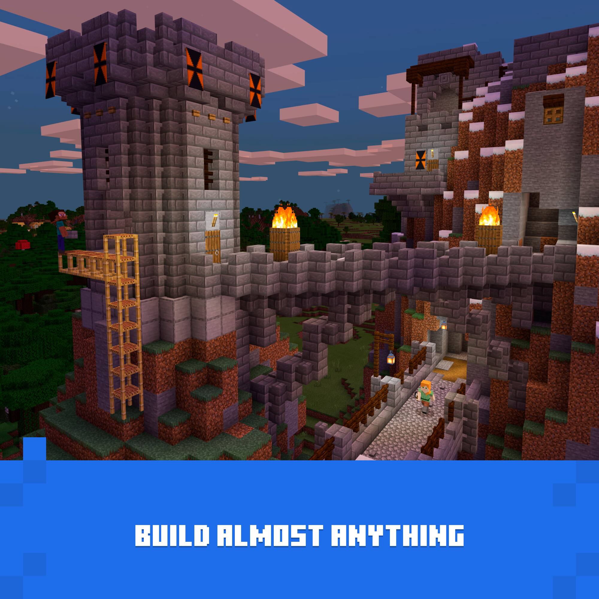 BUILD ALMOST ANYTHING