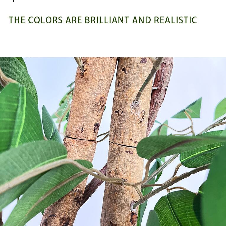 THE COLORS ARE BRILLIANT AND REALISTIC