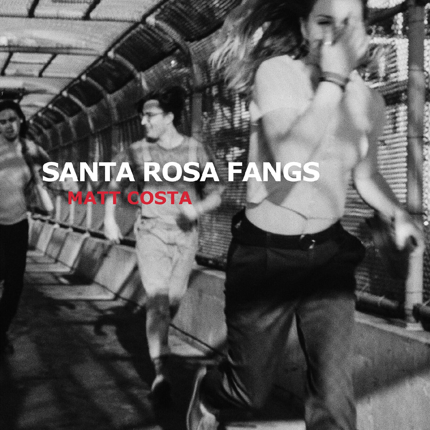 Matt Costa - Santa Rosa Fangs   - VINYL LP price history on PriceWatchPro