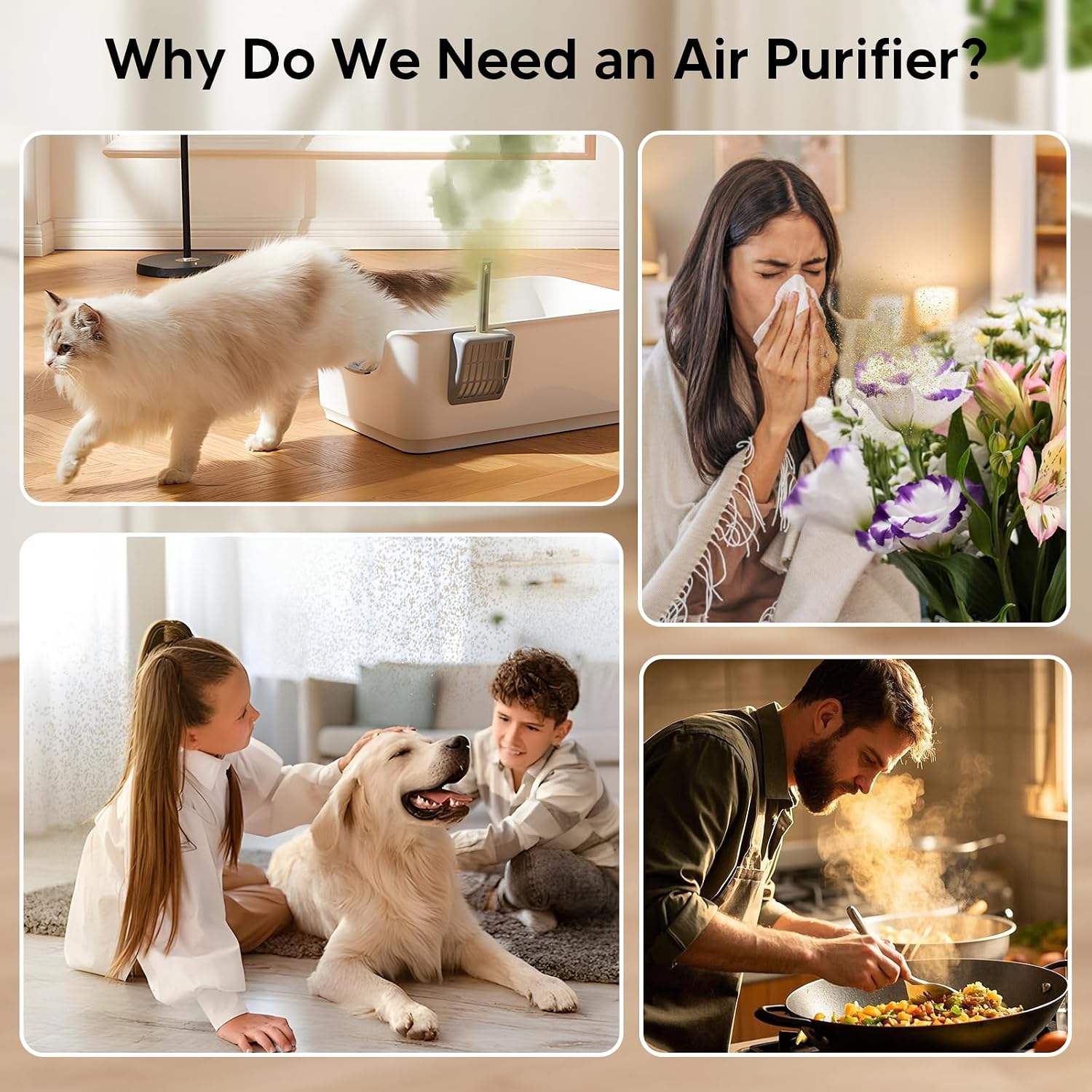 Why Do We Need an Air Purifier?