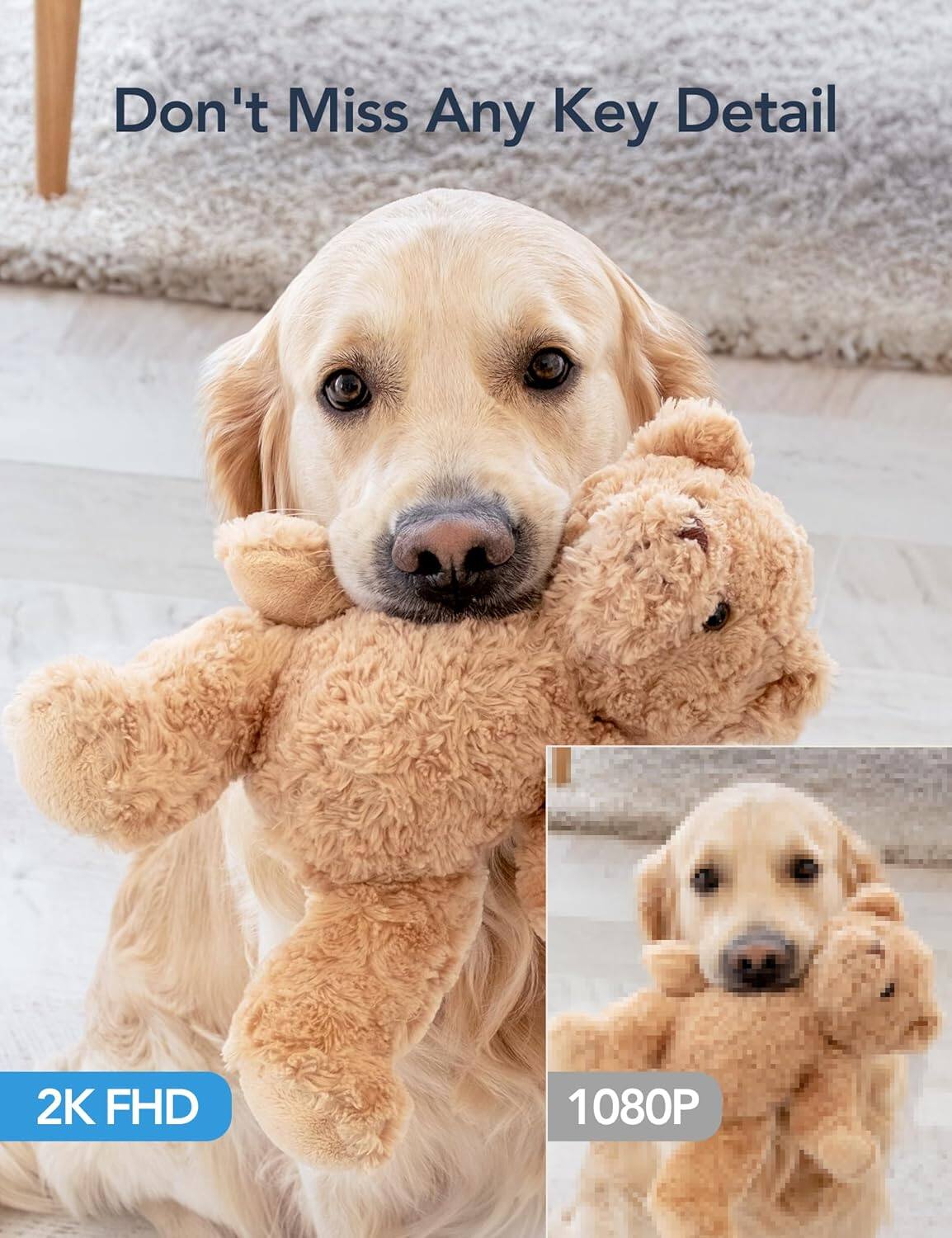 Don't Miss Any Key Detail

2K FHD

1080P