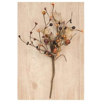 Front. BreeBe - Country Mix Acorn Pick - 14" - Multi.