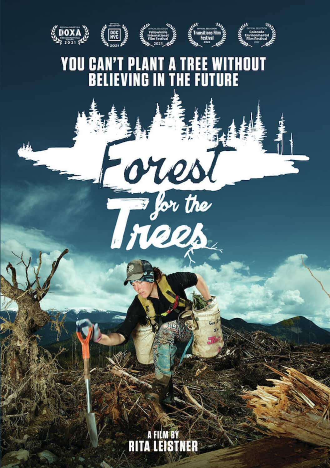 Forest For The Trees  - DVD