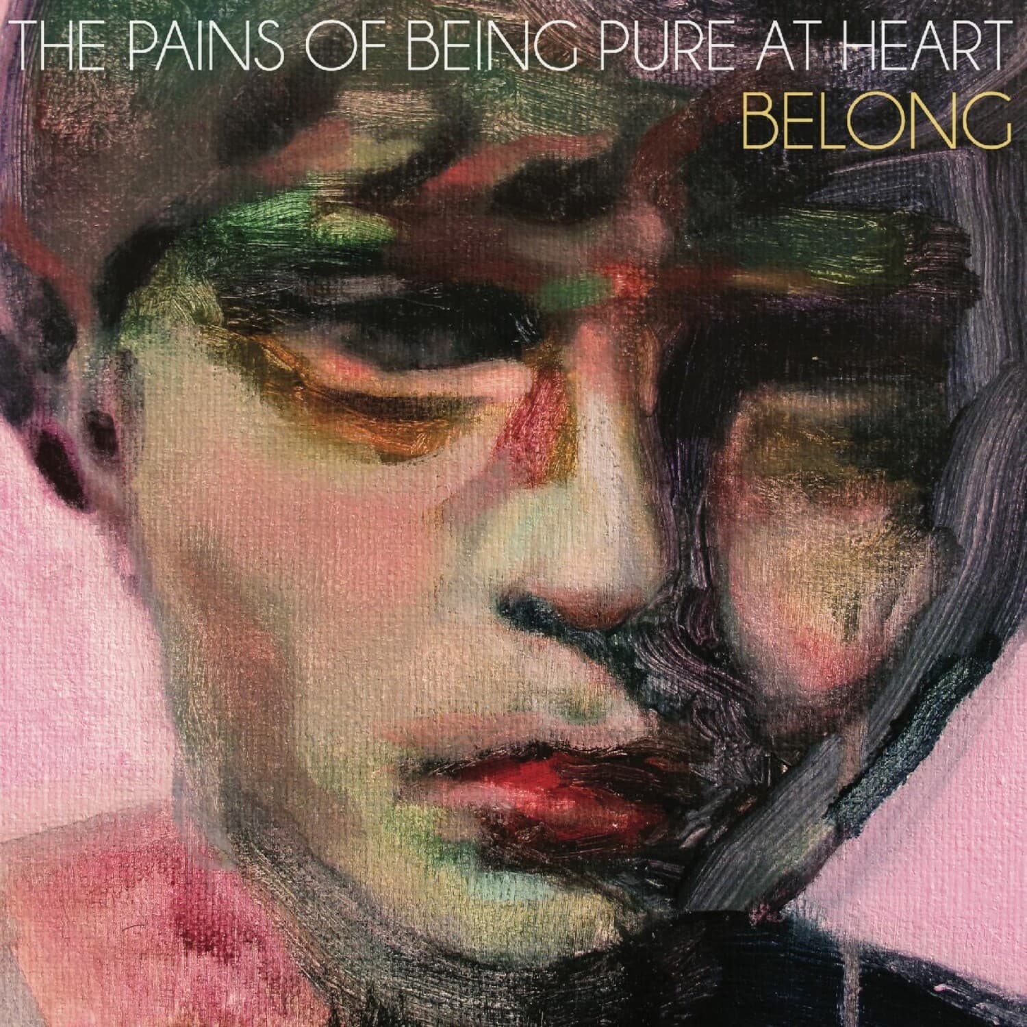 The Pains of Being Pure at Heart - Belong   - VINYL LP price history on PriceWatchPro