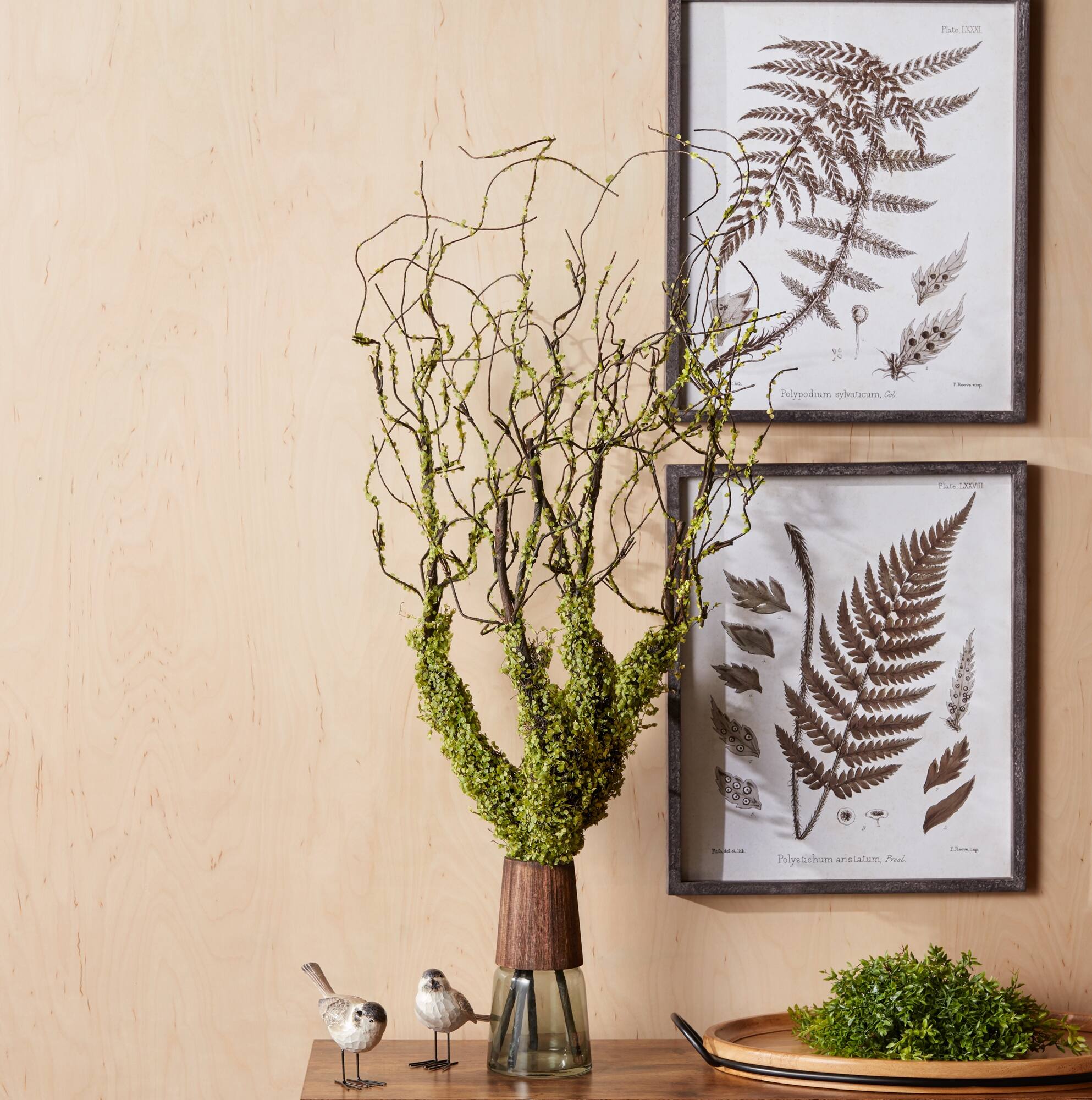 Sure, here is the corrected text:

- Te 100 Priypodrum itaan 3 Pe CE
- Thlyntichum ans anstatam Freal o

The text appears to be a mix of words and possibly a name or title. If you need further clarification or context, please let me know!