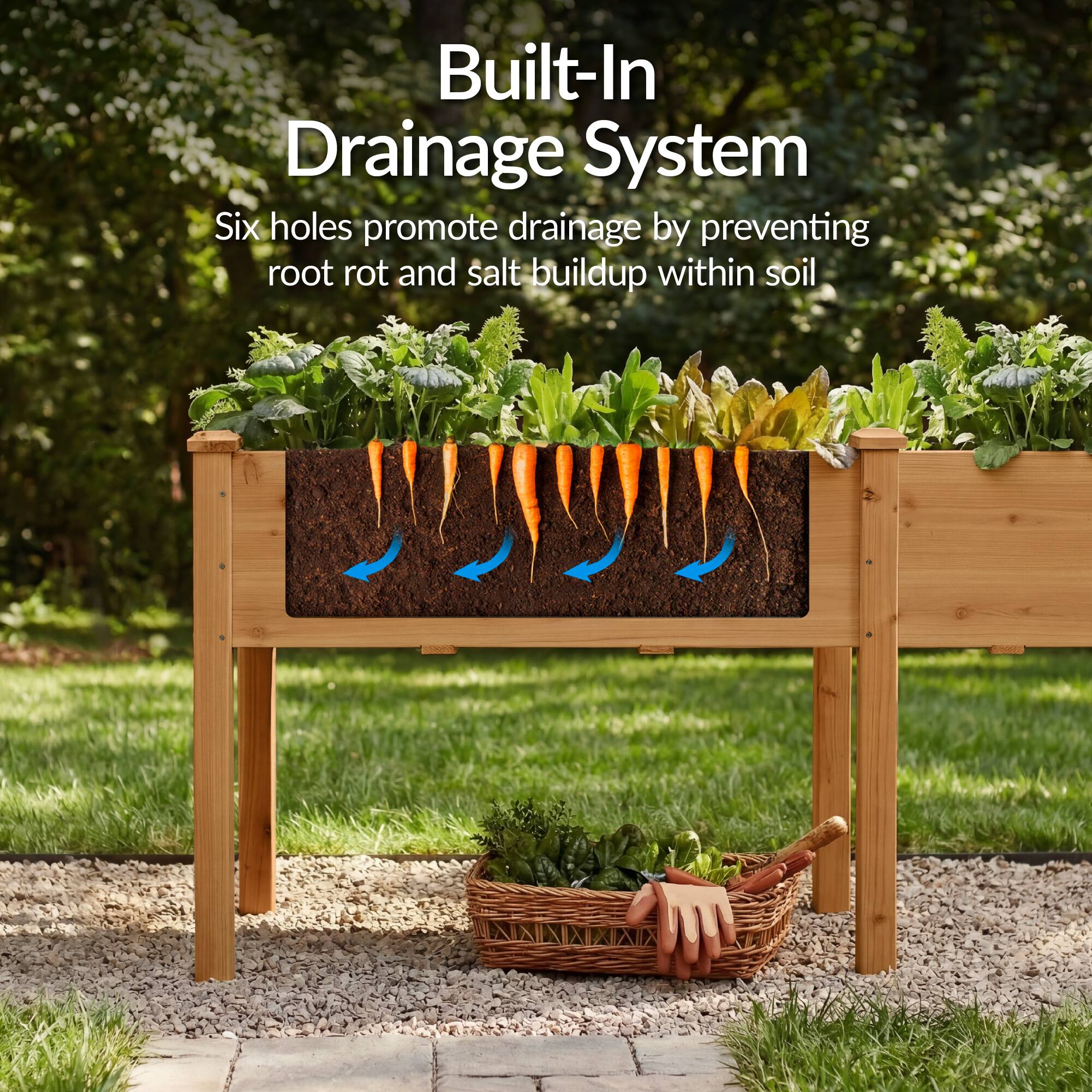 Built-In Drainage System  
Six holes promote drainage by preventing root rot and salt buildup within soil
