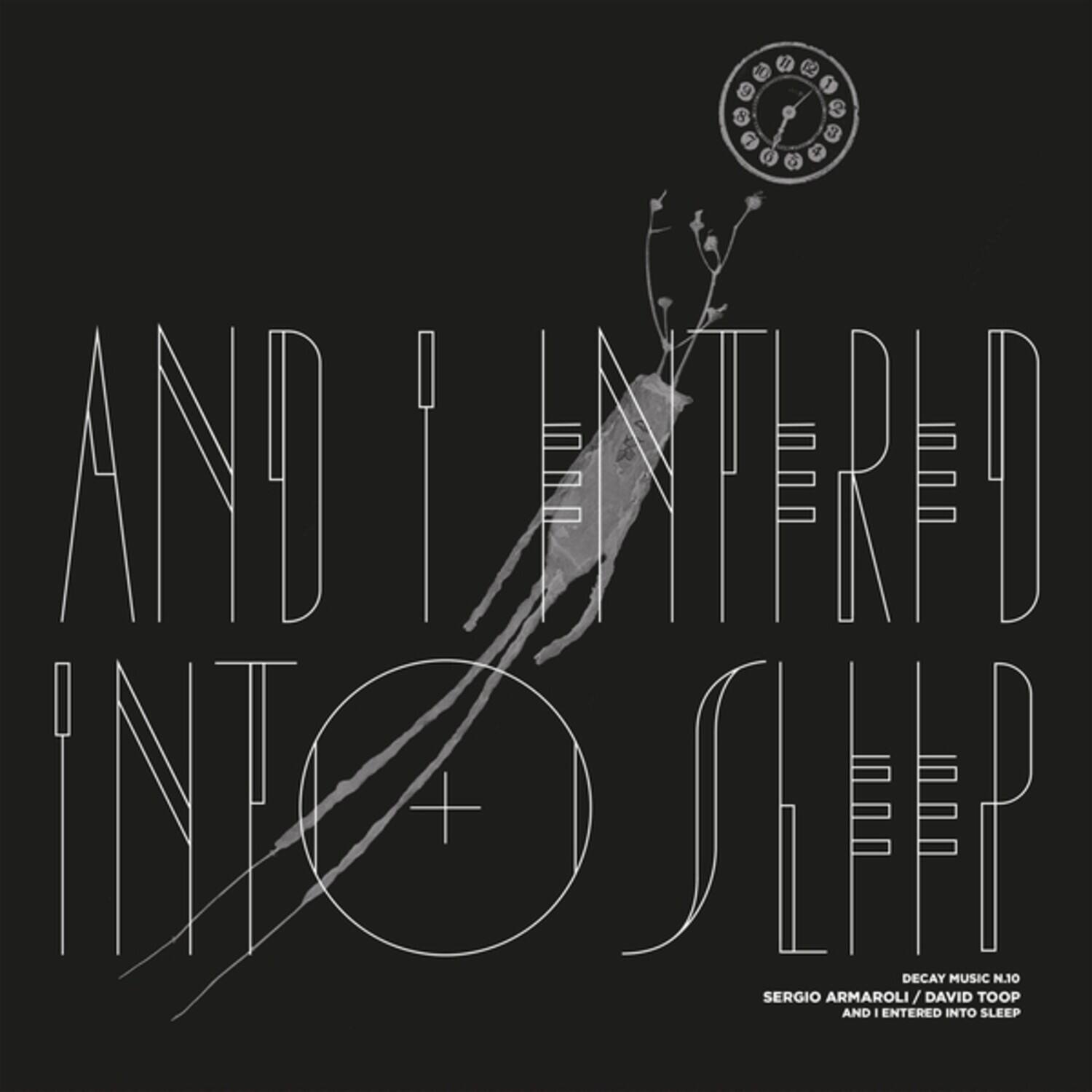 Armaroli,Sergio / Toop,David - Decay Music n.10: And I Entered Into Sleep   - VINYL LP price history on PriceWatchPro