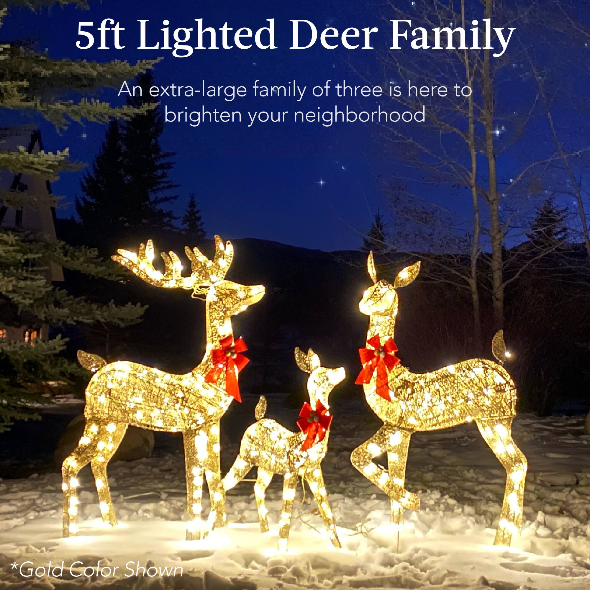 5ft Lighted Deer Family

An extra-large family of three is here to brighten your neighborhood

*Gold Color Shown