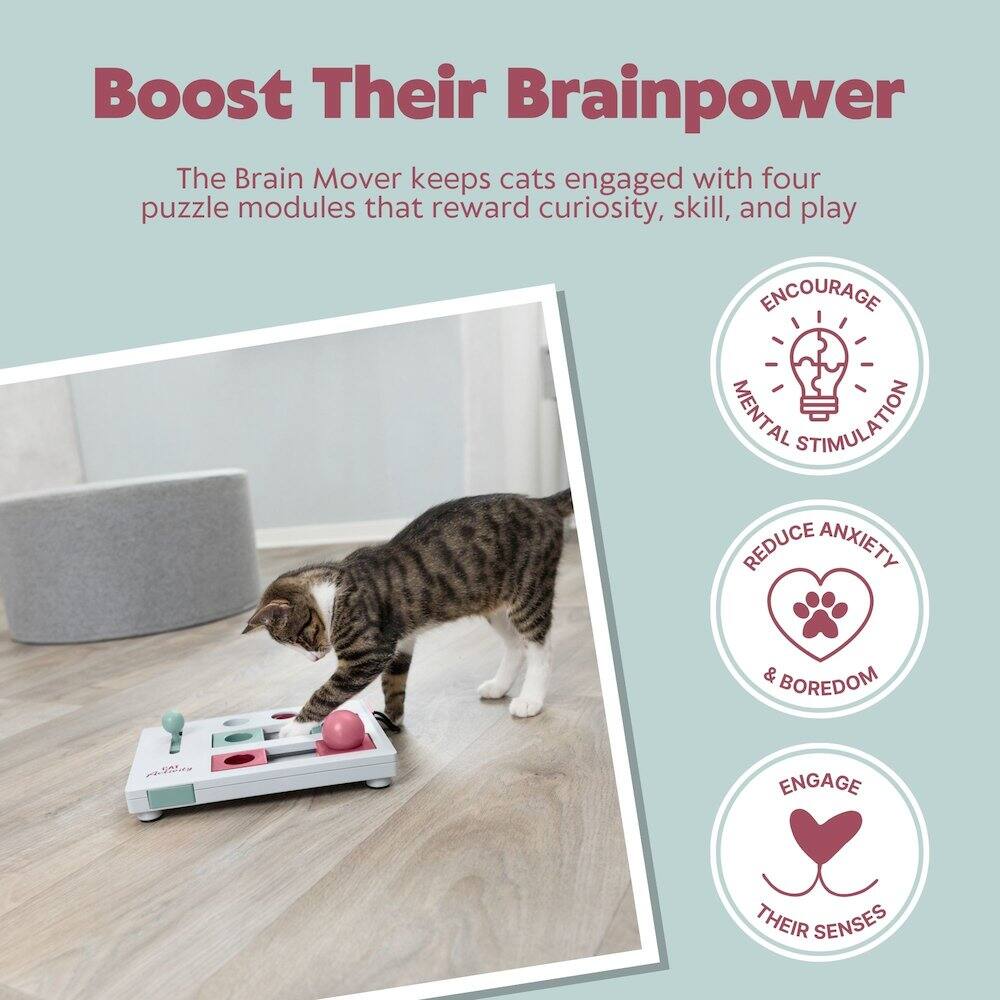Boost Their Brainpower

The Brain Mover keeps cats engaged with four puzzle modules that reward curiosity, skill, and play

- ENCOURAGE MENTAL STIMULATION
- REDUCE ANXIETY & BOREDOM
- ENGAGE THEIR SENSES
