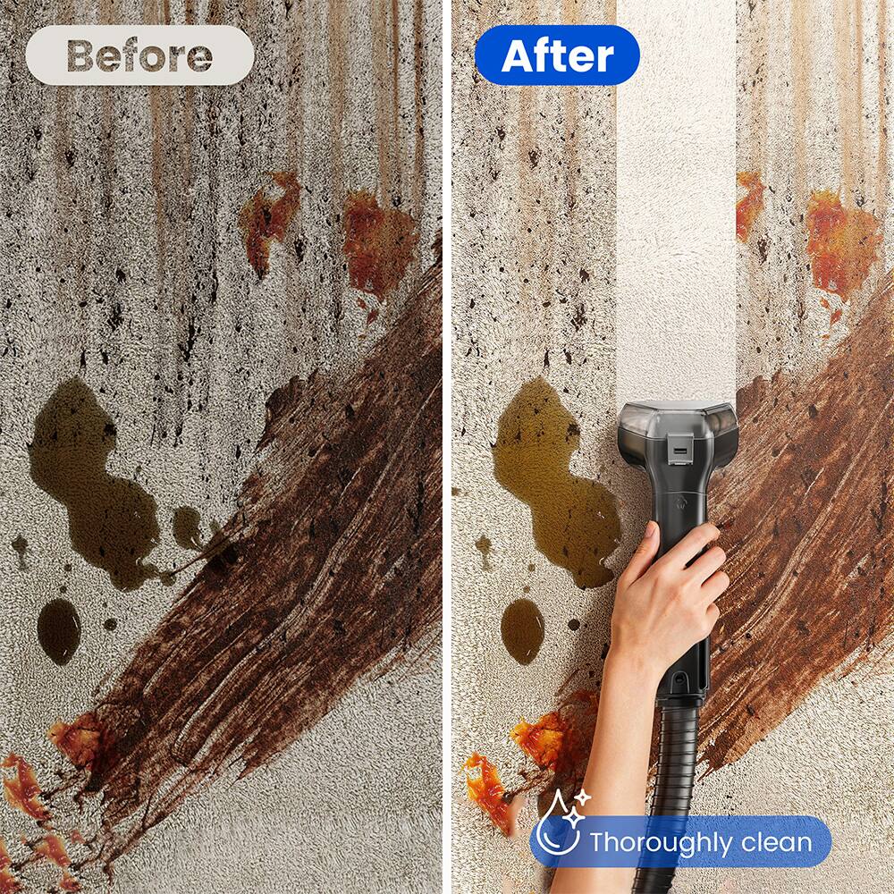 Before
After
Thoroughly clean