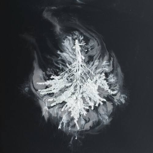 Front. Seabuckthorn - Turns   - COMPACT DISCS.