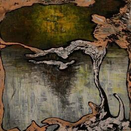 Julian Lynch - Terra - VINYL LP