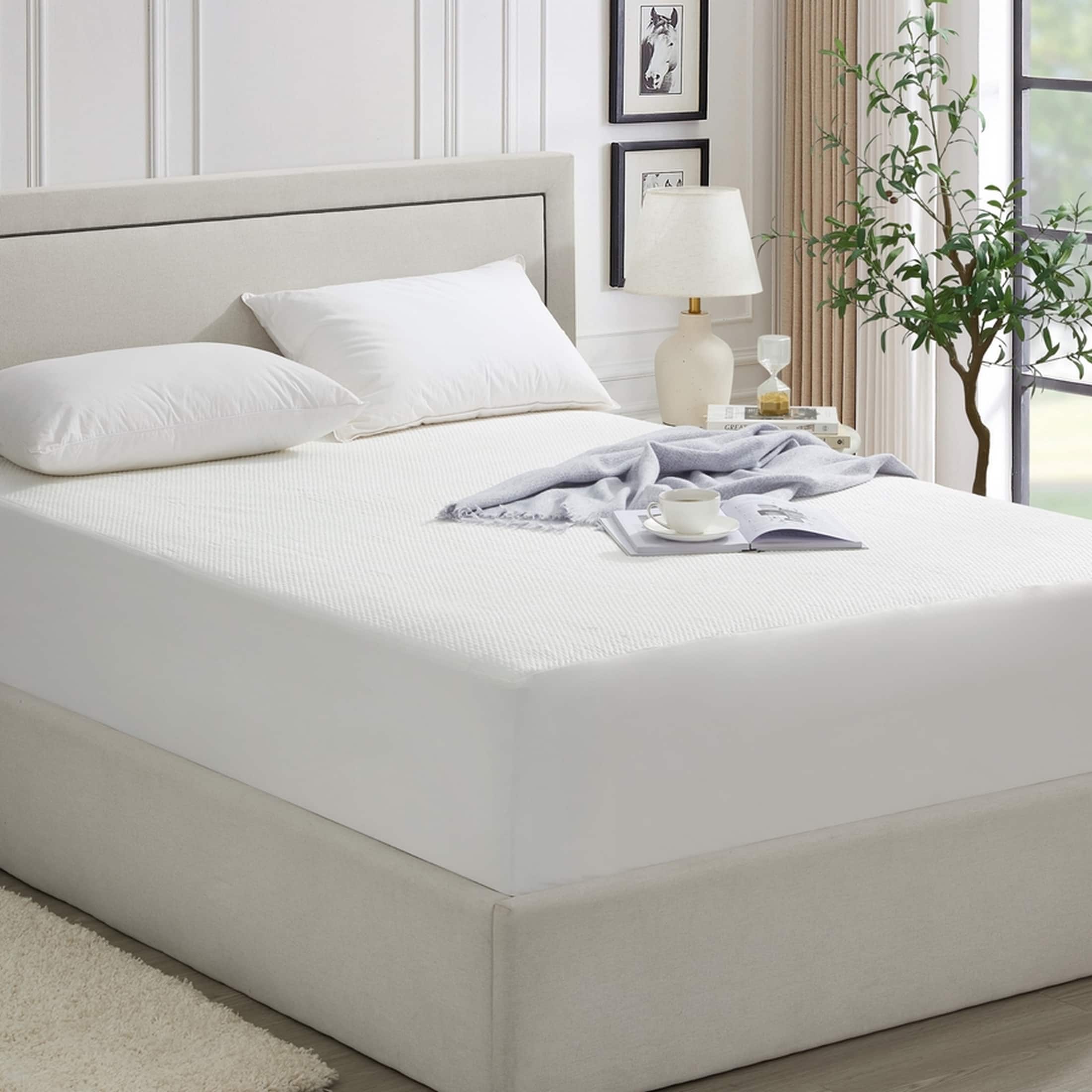 Dan River - Ice Cooling Waterproof Mattress Protector – Tencel Blend, Deep Pocket with Corner Elastic - Standard price history on PriceWatchPro