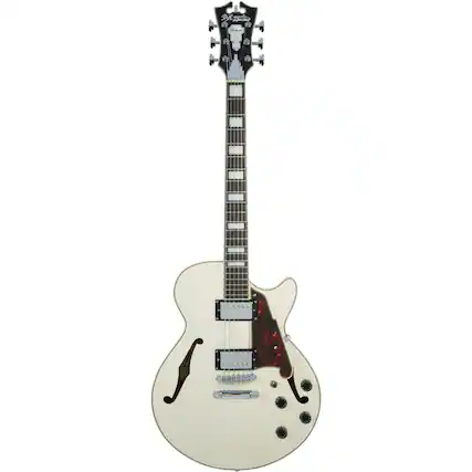 Front. D'Angelico Guitars - D'Angelico Guitars D""Angelico 12 String Semi-Hollow-Body Electric Guitar, Right (DAPSSCMPCSCB).