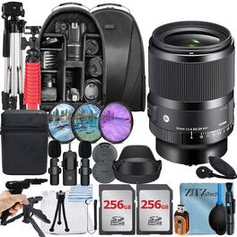 Sigma - 35mm f/1.4 DG DN Art Lens for Sony E Mount Bundle with 2x 256GB Card + Case + ZeeTech Bundle - Black