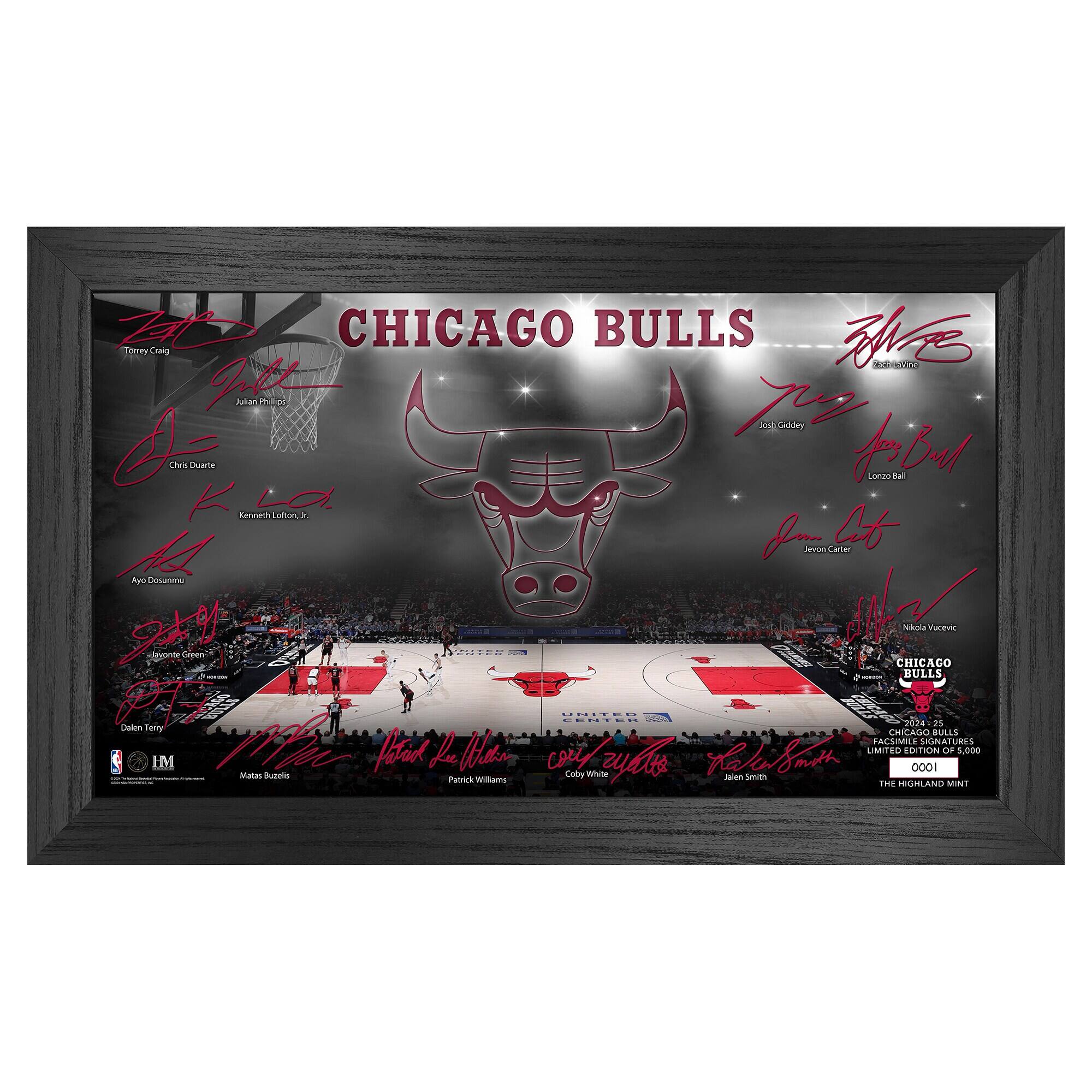 Chicago Bulls Signature Court Print