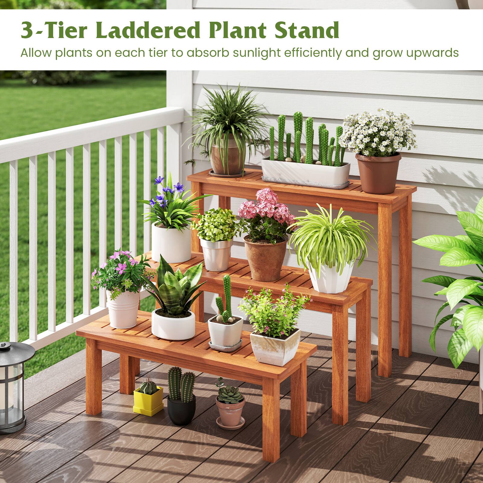 3-Tier Laddered Plant Stand  
Allow plants on each tier to absorb sunlight efficiently and grow upwards