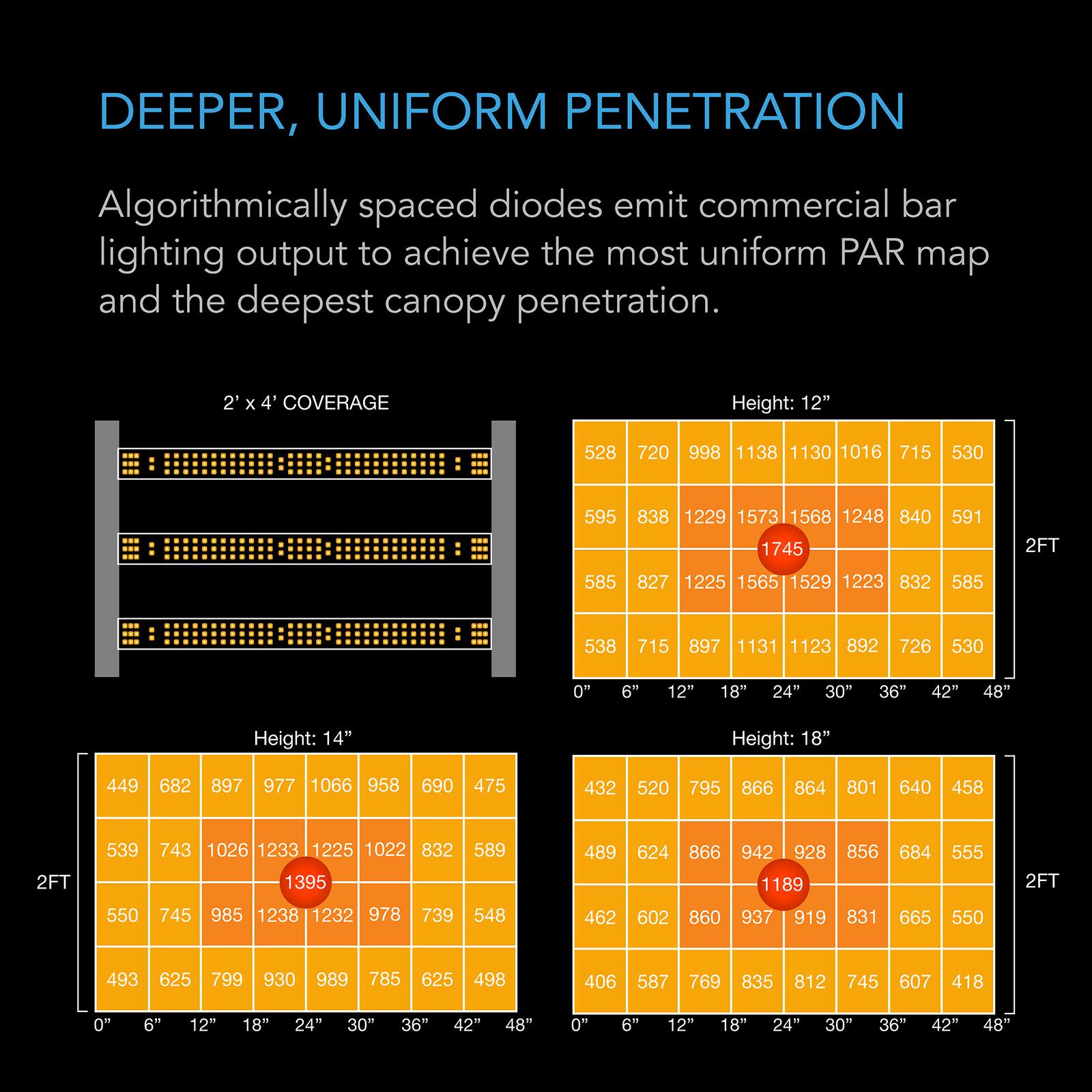 DEEPER, UNIFORM PENETRATION

Algorithmically spaced diodes emit commercial bar lighting output to achieve the most uniform PAR map and the deepest canopy penetration.

2' X 4' COVERAGE

Height: 12"
528 720 998 1138 1130 1016 715 530
595 838 1229 1573 1568 1248 840 591
530 595 838 1229 1573 1568 1248 840 1745
591 2FT
585 827 1225 1565 1529 1223 832
585 538 715
897 1131 1123 892
726 530
0" 6" 12" 18" 24" 3