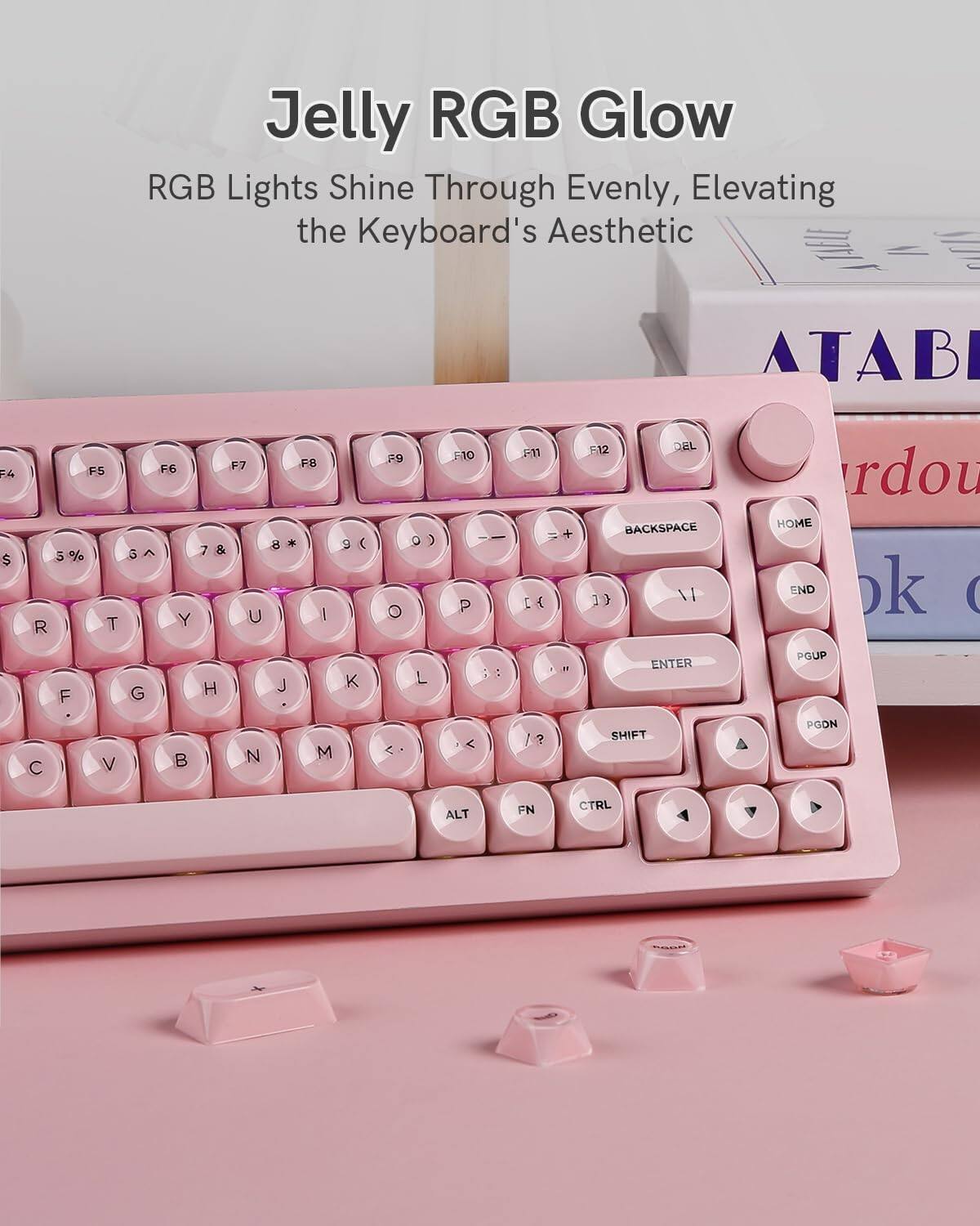 Jelly RGB Glow  
RGB Lights Shine Through Evenly, Elevating the Keyboard's Aesthetic  

F4 F5 F6 F7 F8 F9 F10 F11 F12 DEL BACKSPACE 1) V ENTER HOME END PGUP PGDN SHIFT ALT FN CTRL  

R T Y U I O P  
G H J K L ;  
C V B N M ,