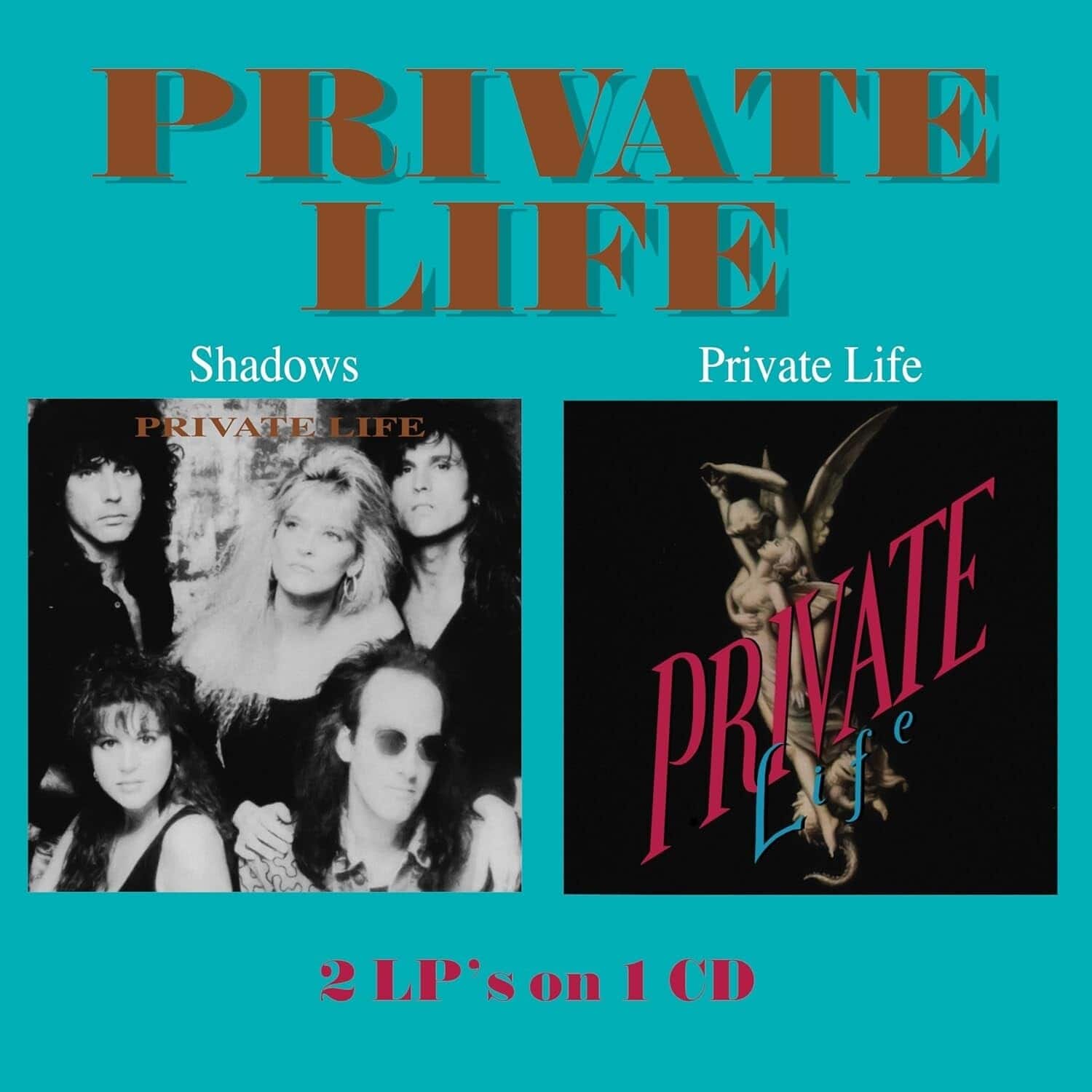 Private Life - Shadows / Private Life   - COMPACT DISCS [CD] price history on PriceWatchPro