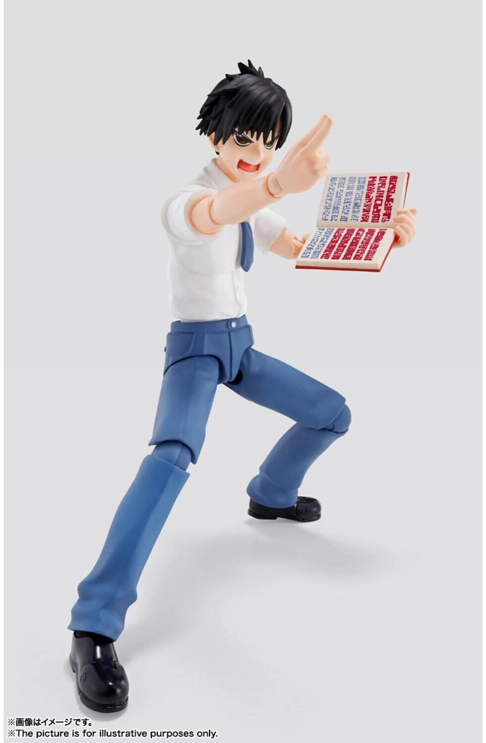 The picture is for illustrative purposes only.