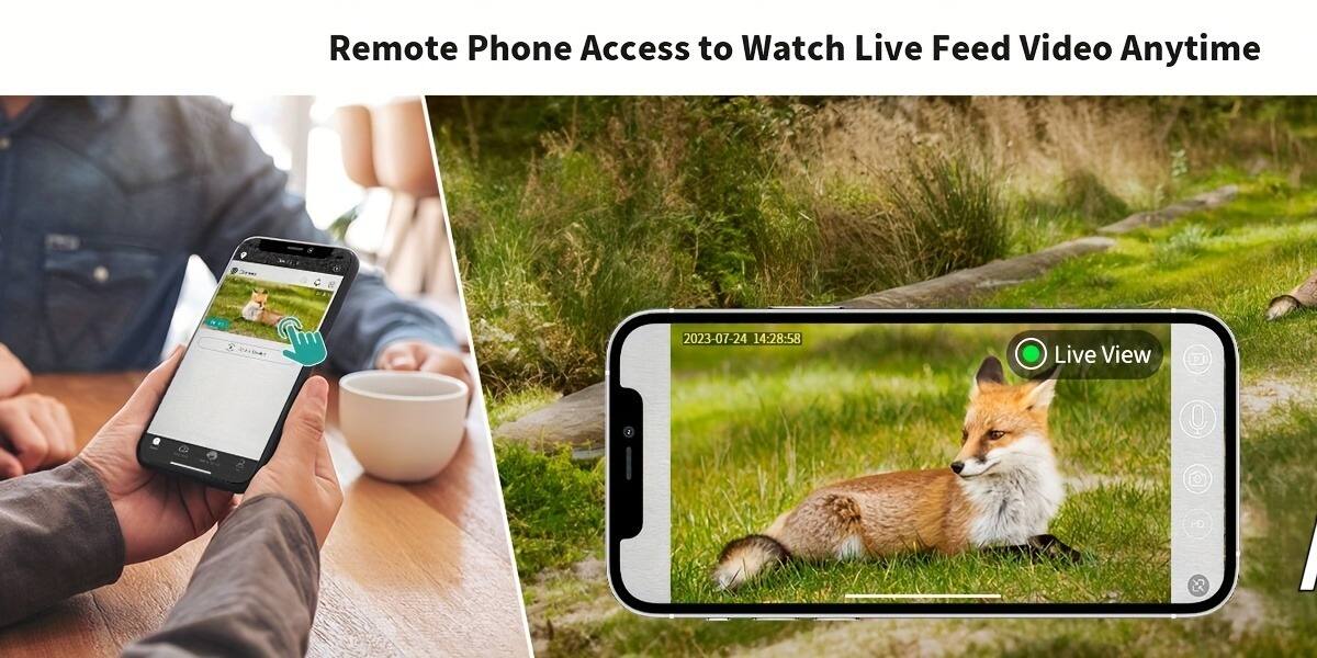 Remote Phone Access to Watch Live Feed Video Anytime
2023-07-24 14:28:58 Live View