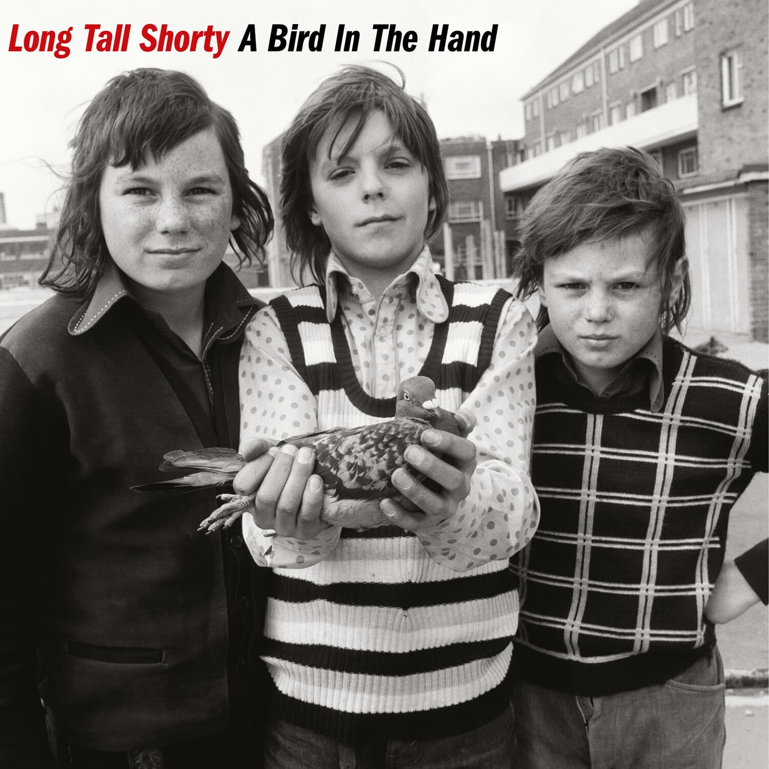 Long Tall Shorty - A Bird In The Hand   - VINYL LP price history on PriceWatchPro