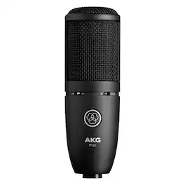 AKG - Wired P120 Professional Studio Condenser Microphone - Black