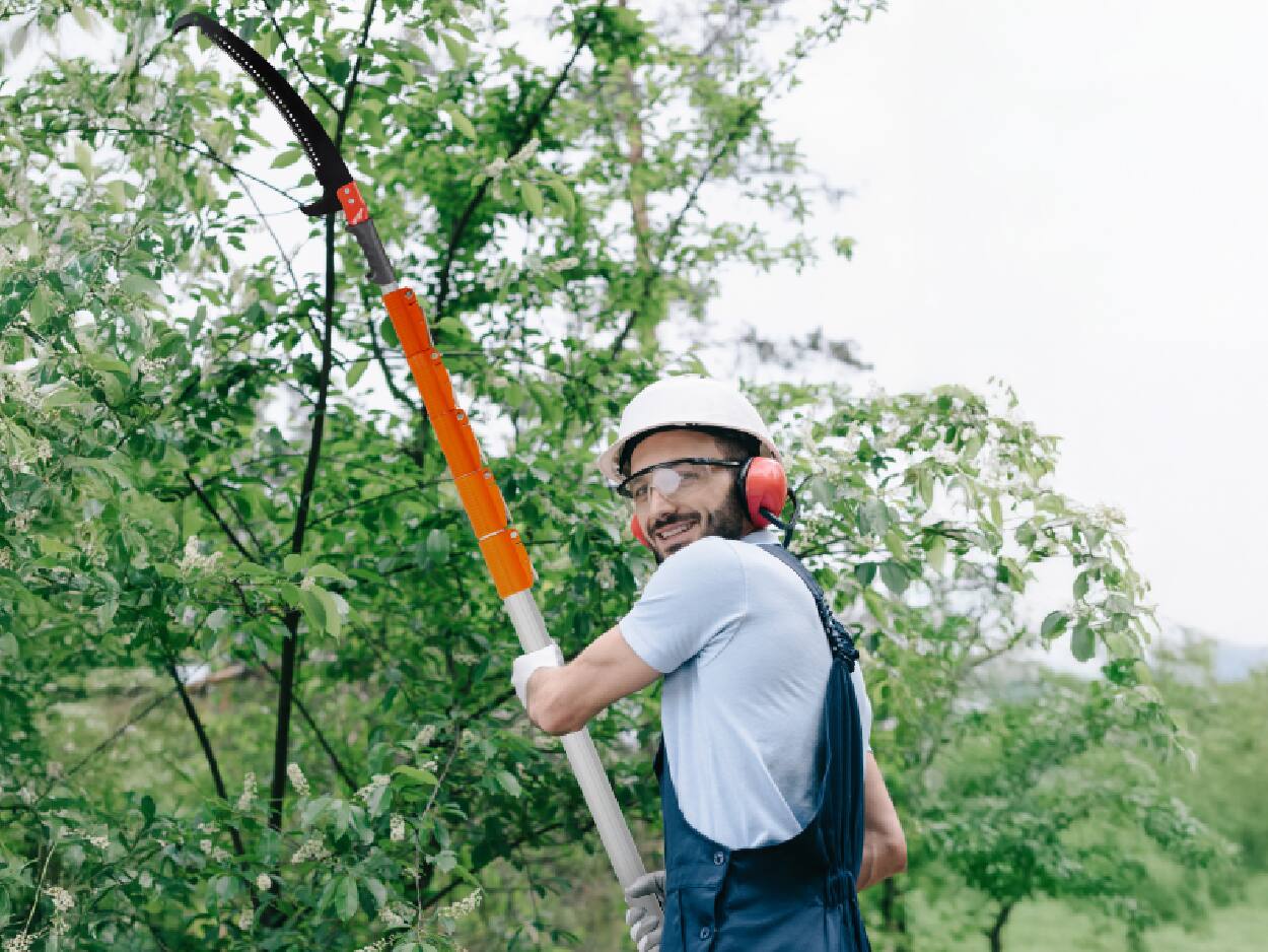 Angle. Winado - 26FT Manual Pole Saw, Extendable Tree Trimmer, Telescoping Pole for Backyard.