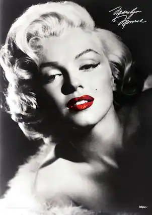 Sure, here is the corrected and grouped text from the image:
**Top Right:**
- Marilyn Monroe
**Bottom Right:**
- Mighty Prints
**Bottom Left:**
- Copyright © 2013 by Mighty Prints. All rights reserved.