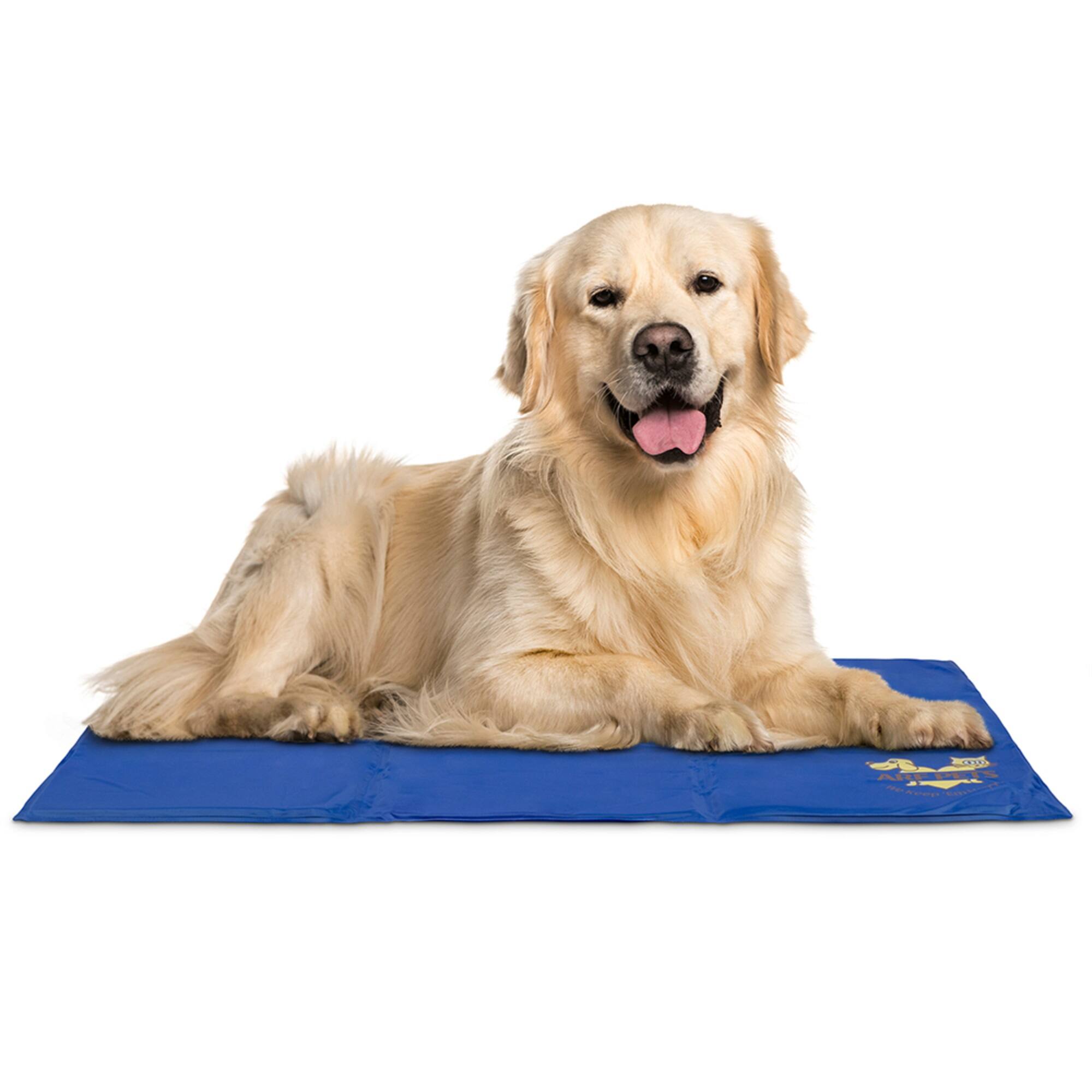 Arf Pets - Dog Cooling Mat 31”x37”, Durable, Non-Toxic Gel Dog Bed Mat for Kennels, Crates & Beds - Blue