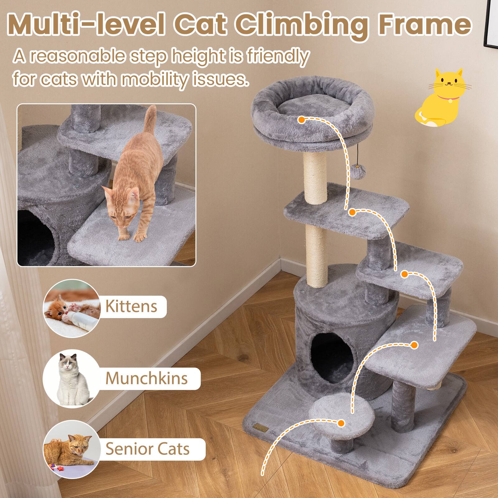 Multi-level Cat Climbing Frame

A reasonable step height is friendly for cats with mobility issues.

- Kittens
- Munchkins
- Senior Cats