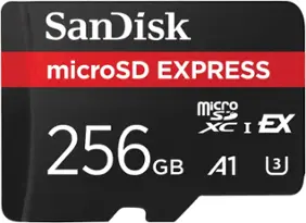 SanDisk - Express 256GB microSD PCIe 3.1 NVMe UHS-I  Memory Card - Front_Zoom