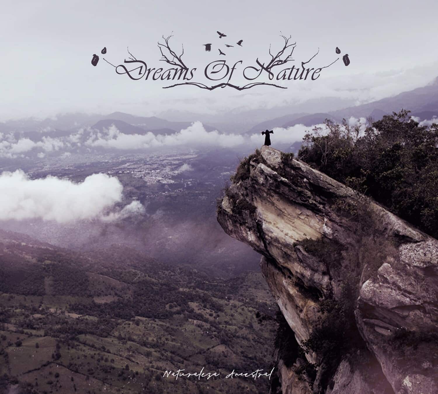 Dreams of Nature - Naturaleza Ancestral   - COMPACT DISCS [CD] price history on PriceWatchPro