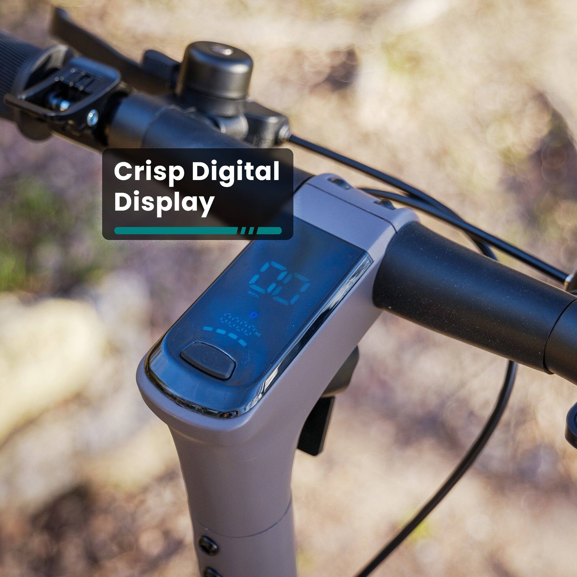 Crisp Digital Display 00 MP D PH D