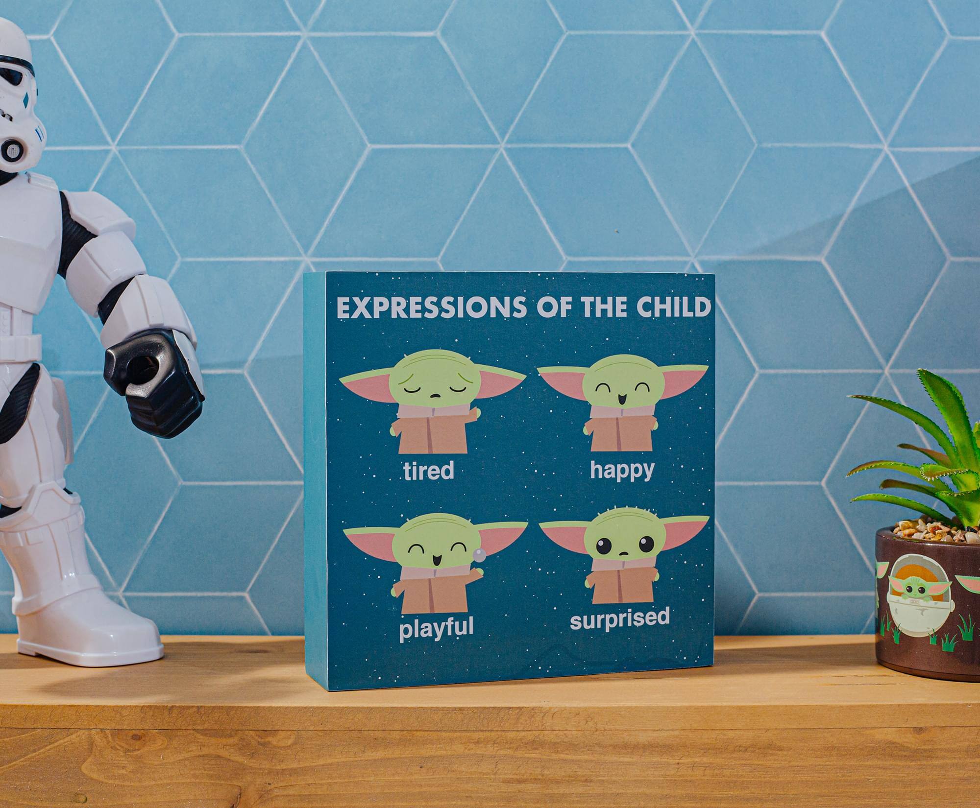 Expressions of the Child

- tired
- happy
- playful
- surprised