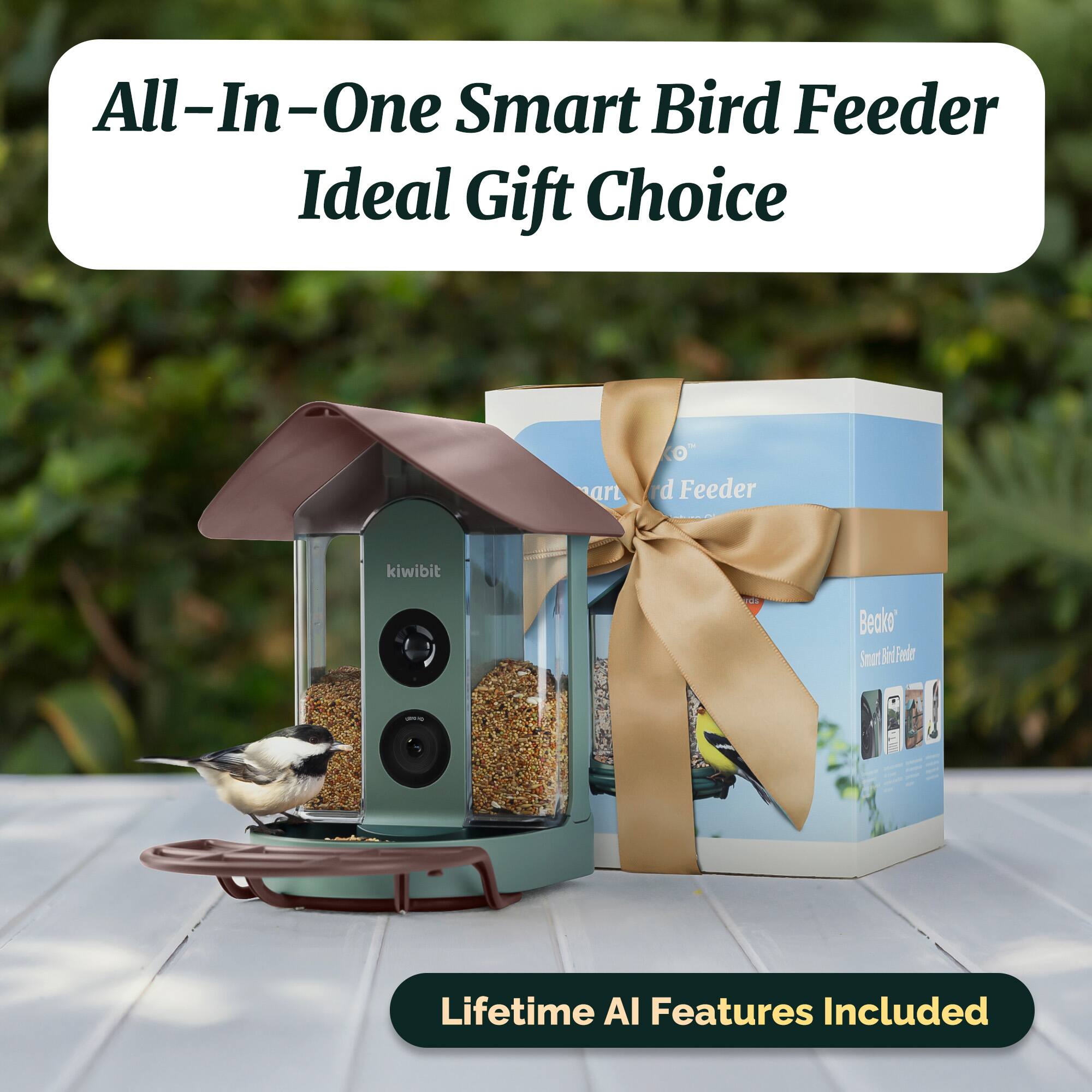 All-In-One Smart Bird Feeder  
Ideal Gift Choice  

Lifetime AI Features Included
