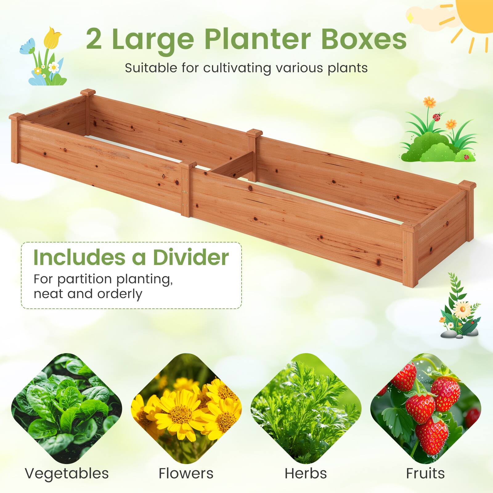 2 Large Planter Boxes  
Suitable for cultivating various plants  

Includes a Divider  
For partition planting, neat and orderly  

Vegetables  
Flowers  
Herbs  
Fruits