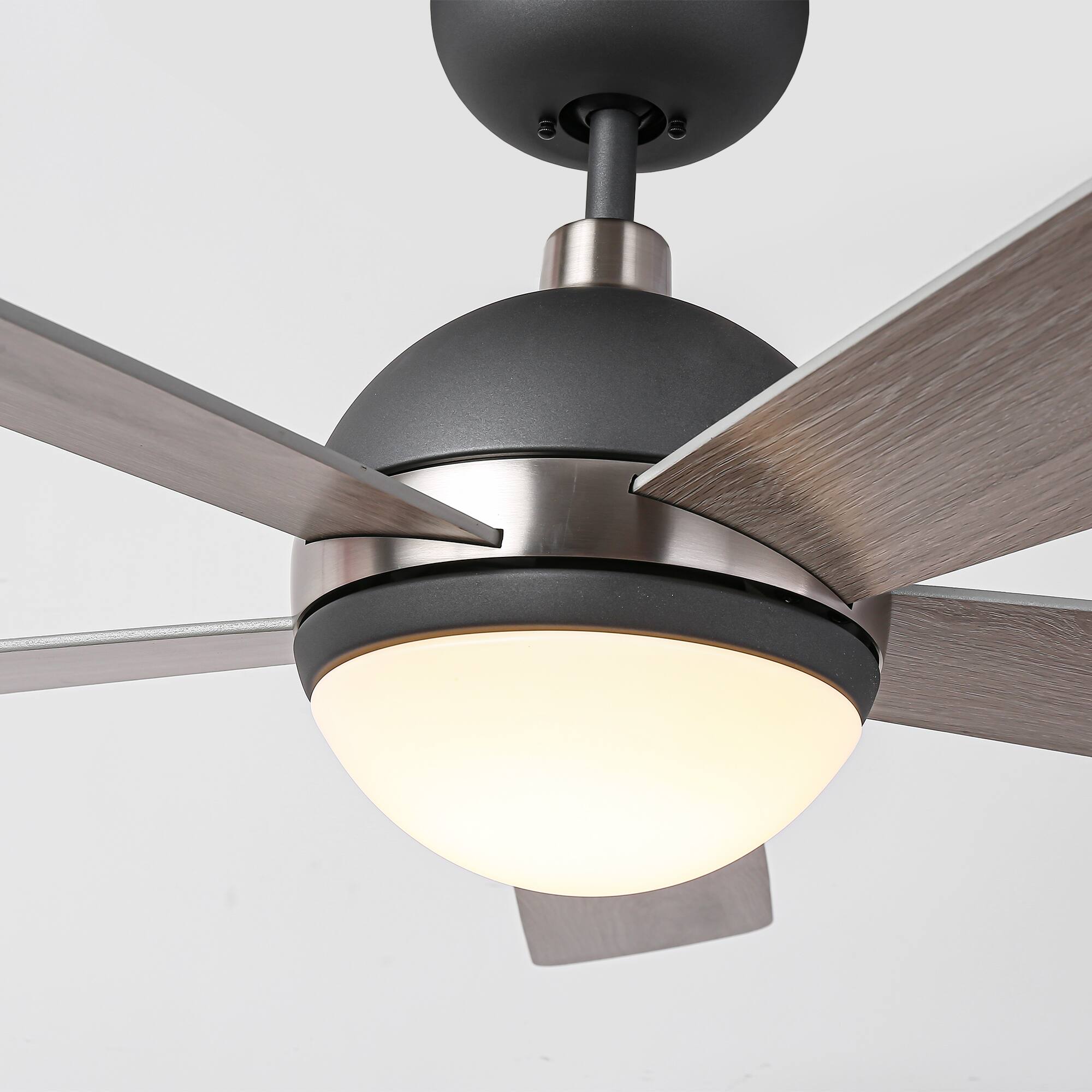 Back. Parrot Uncle - 52" Modern Gray Wooden Ceiling Fan with Light and Remote - Graphite.
