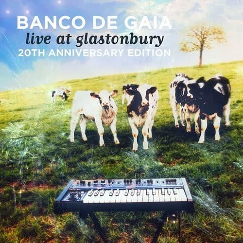 Banco de Gaia - Live At Glastonbury: 20th Anniversary Edition   - COMPACT DISCS [CD] price history on PriceWatchPro