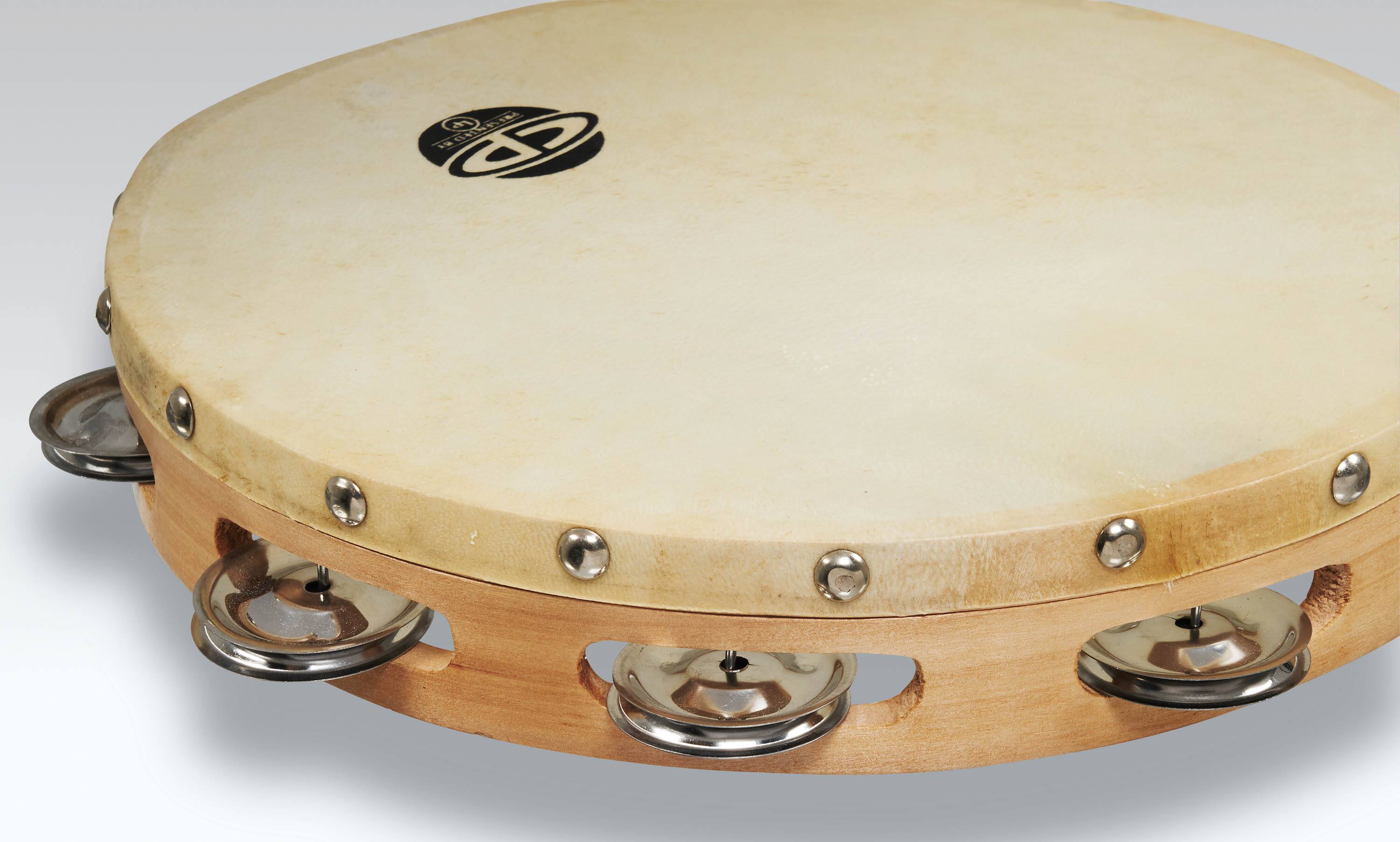 The text on the image reads:

"REMO
PROFESSIONAL
MARCHING
DRUM"