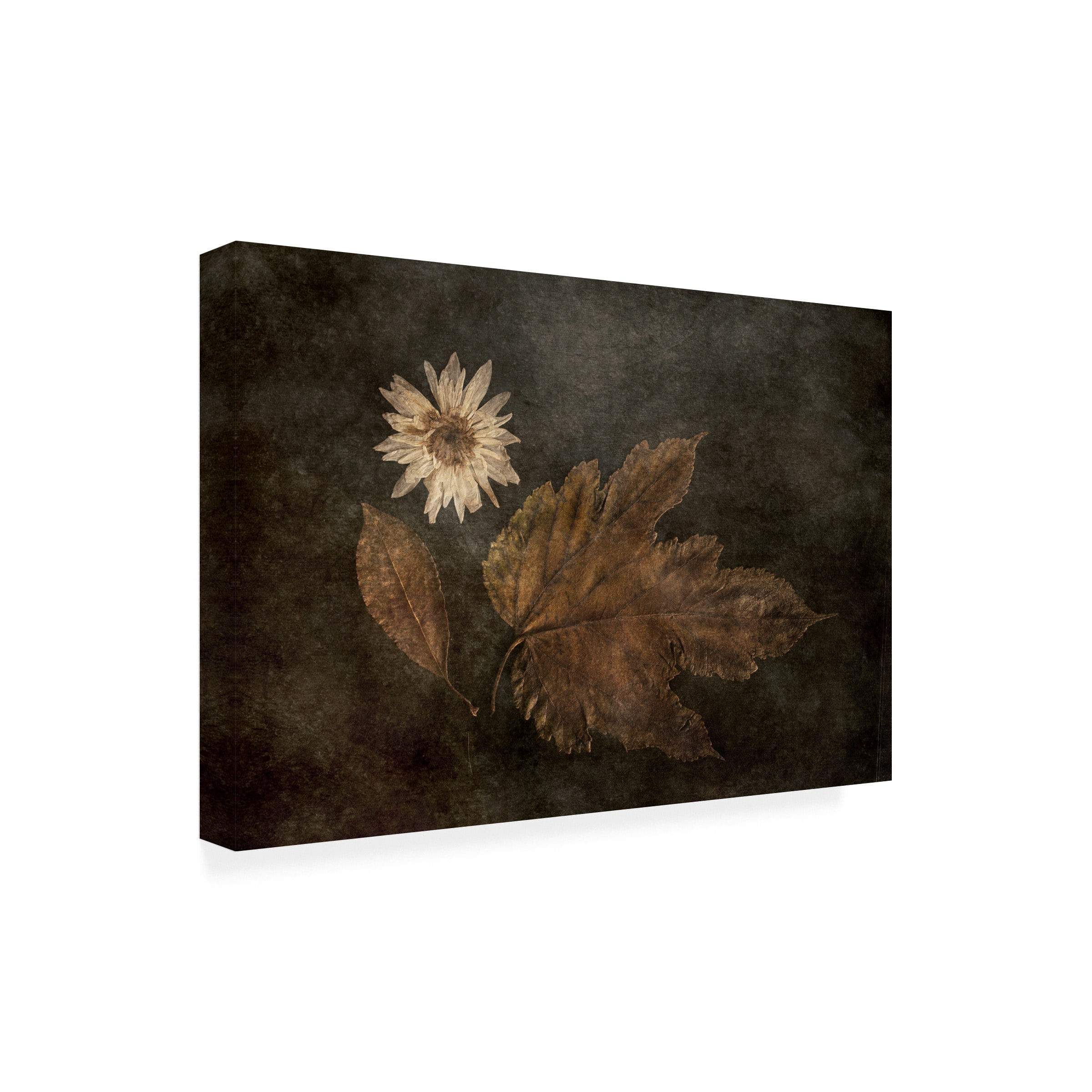 Trademark Fine Art - Gilbert Claes The Trio Canvas Art - 24 x 16 Inches - 24x16 - Multicolor